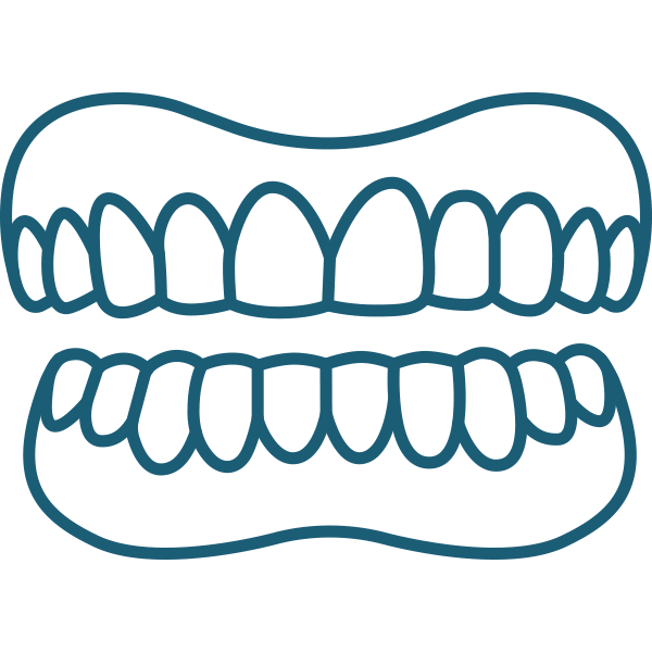 HP Icon- Braces for adults and teens