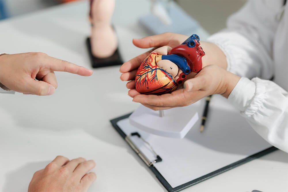 Doctor holding heart figure