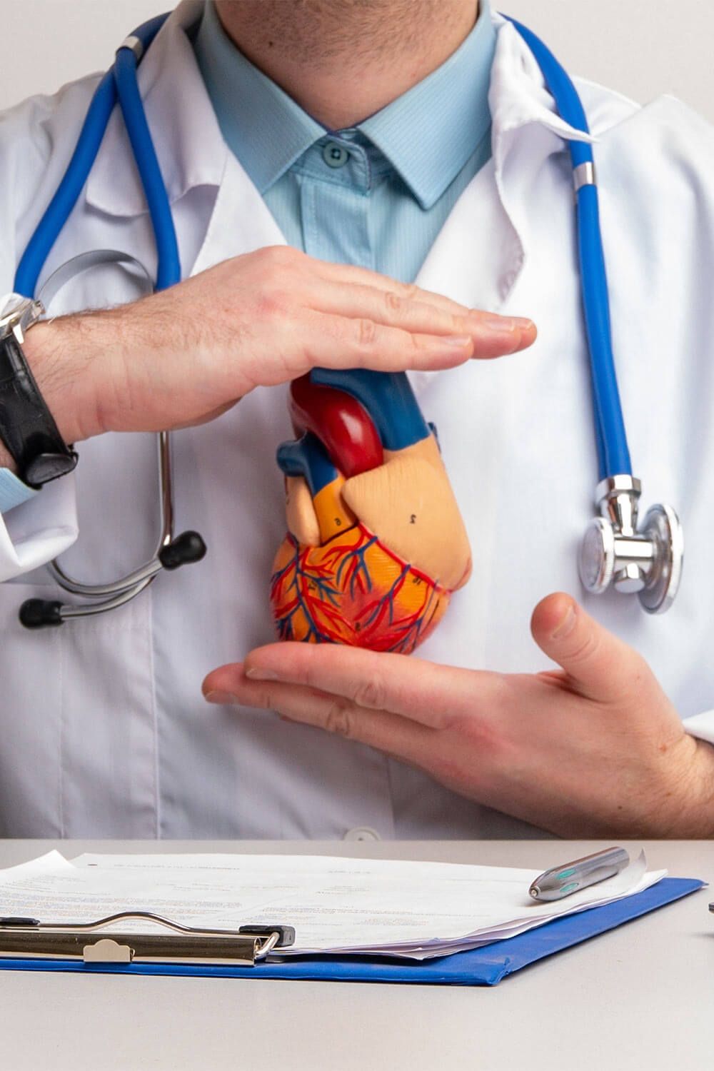 Doctor with stethoscope holding heart