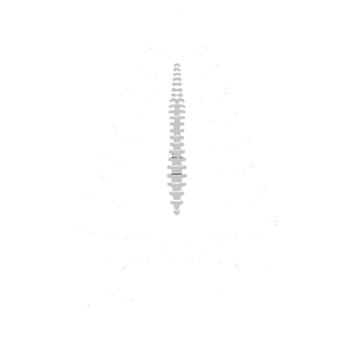 Apex Logo-white