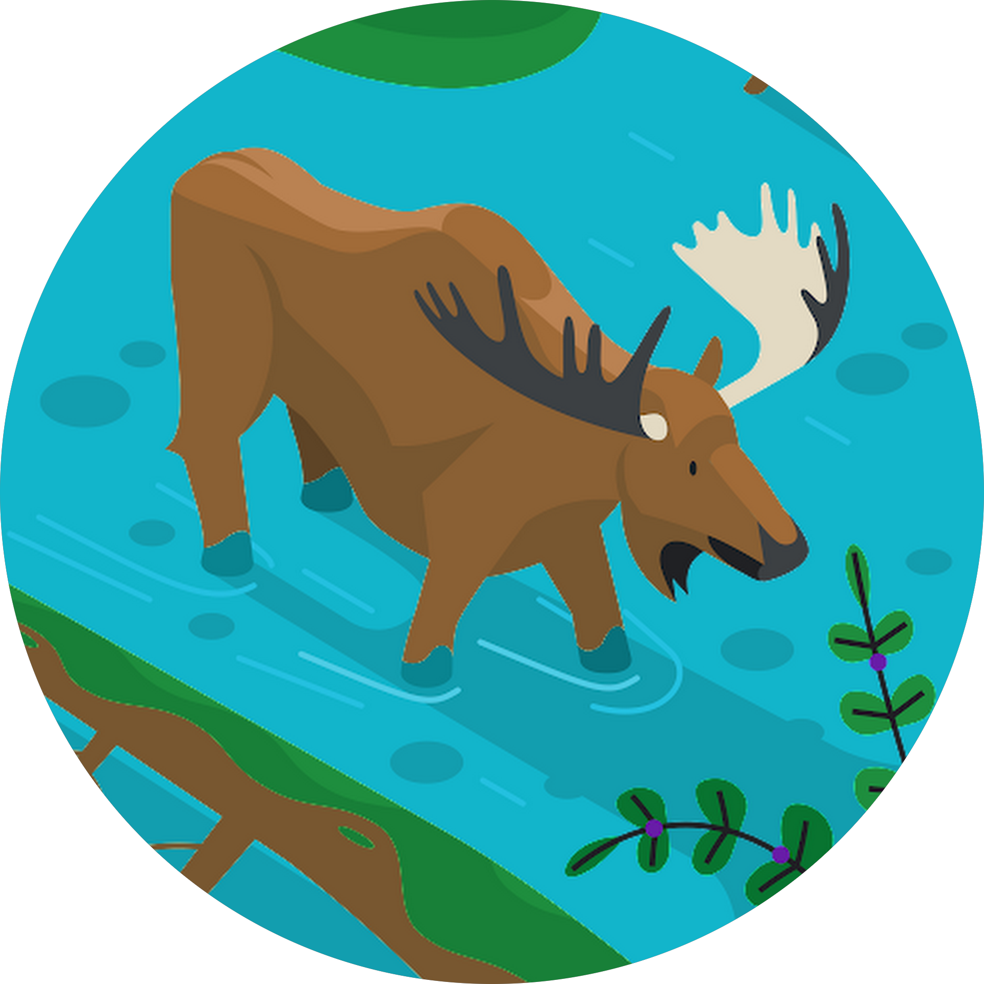 Cartoon moose in river'