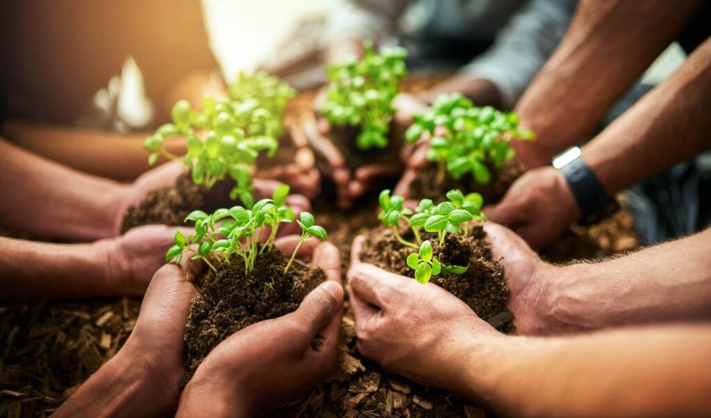 hands of a group or team of eco people for agriculture and collaboration in a green business.