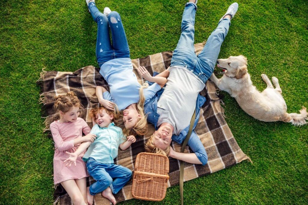 top view of happy young family with golden retriever dog resting on grass at picnic