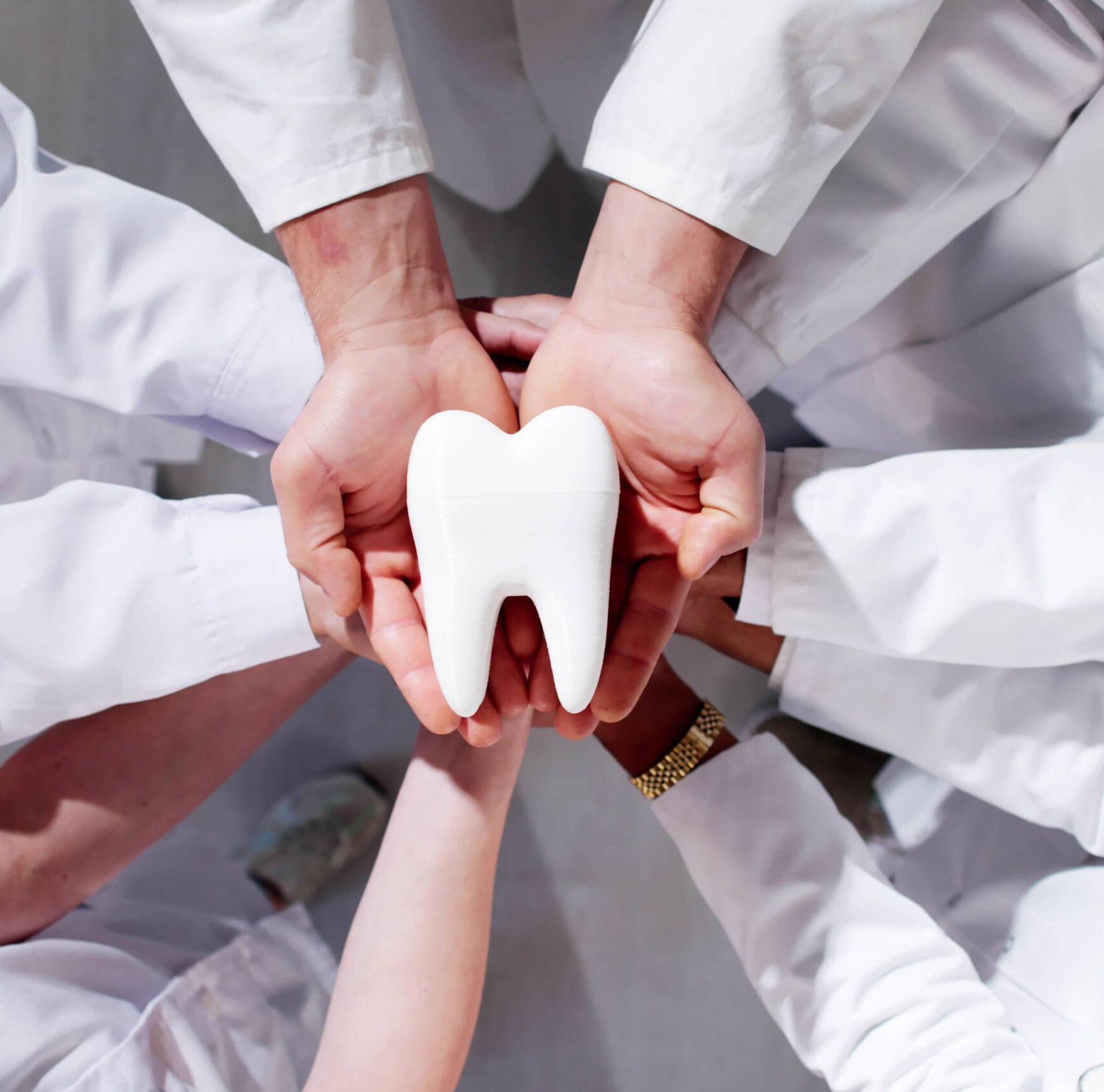 Group Of Dentists Holding Tooth. Dental Teeth Whitening