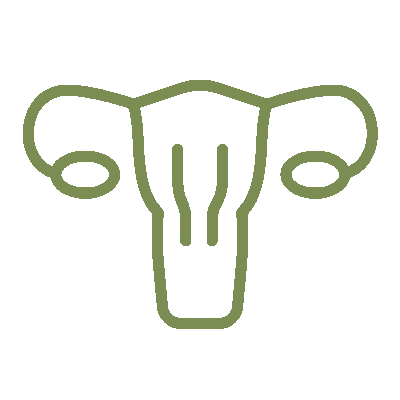 wired-outline-1244-ovaries-hover-pinch