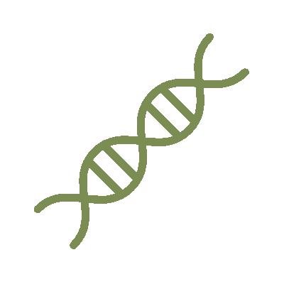 wired-outline-1278-dna-structure-hover-pinch