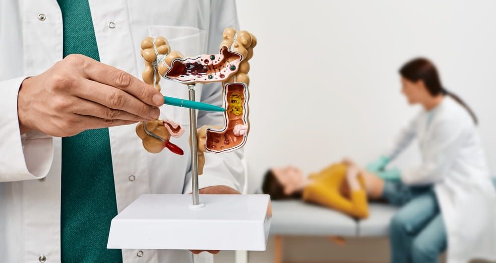 Anatomical intestines model with pathology in doctor hands