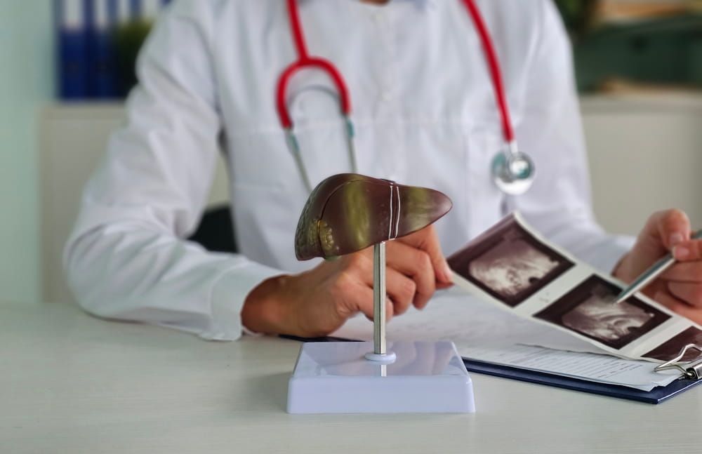 Medical professional examines liver model and patient scans in clinical setting