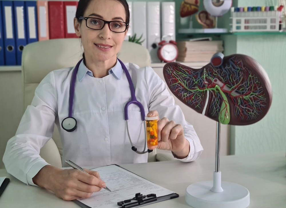doctor holds an anatomical model of the liver, close-up. Hepatitis treatment, dietary supplements
