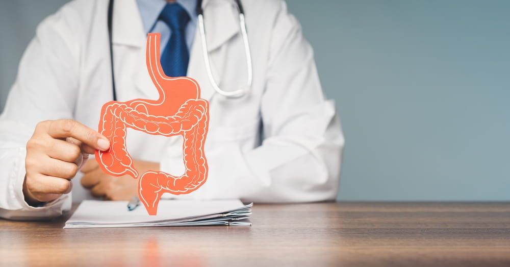 Doctor holding a intestine symbol made from red paper while sitting in the hospital.