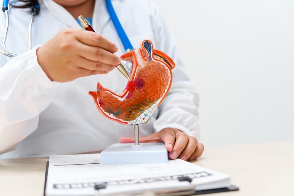 A gastroenterologist uses an anatomical model to explain stomach problems, infections, and treatment options