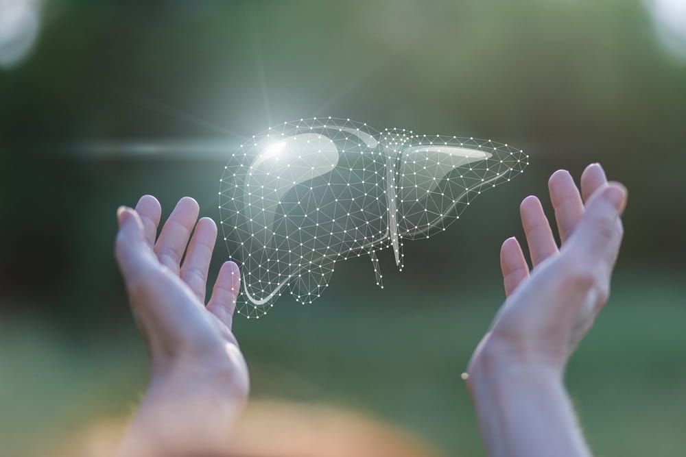 Patient liver support and treatment concept