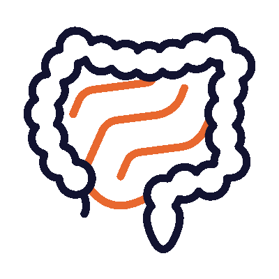 Digestion icon