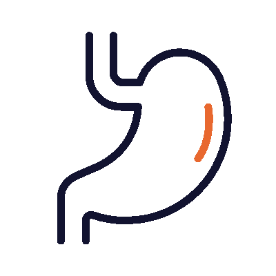 Stomach icon