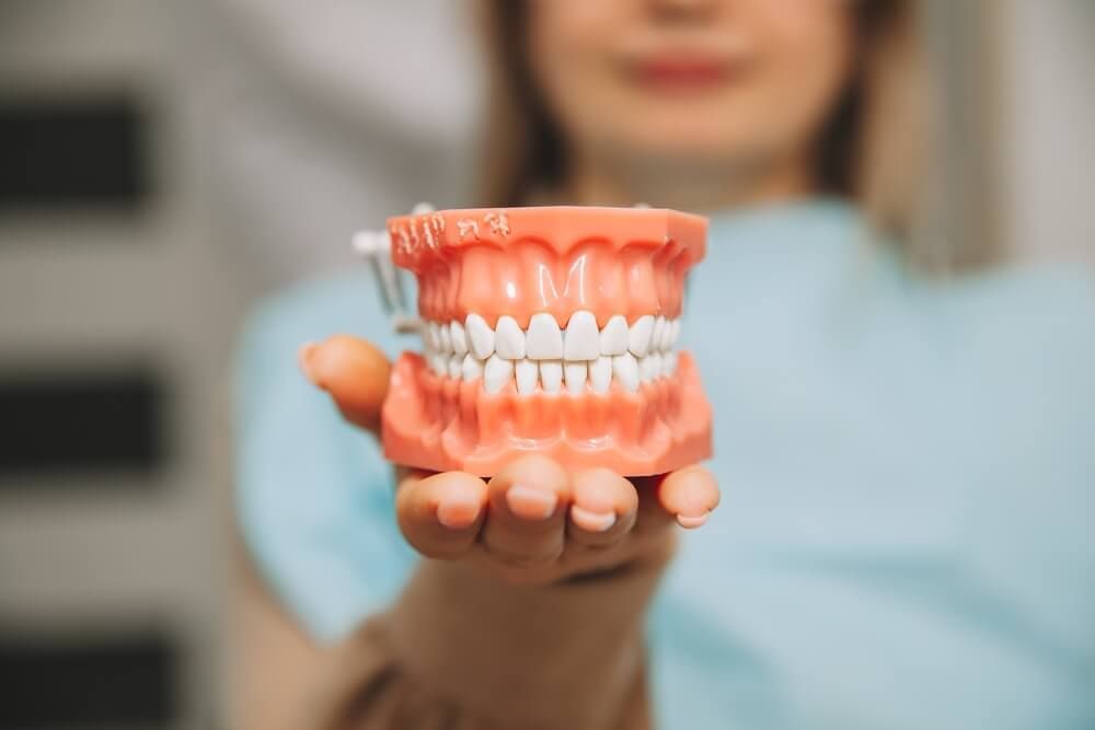 Woman holding a tooth sample or denture at the dentist