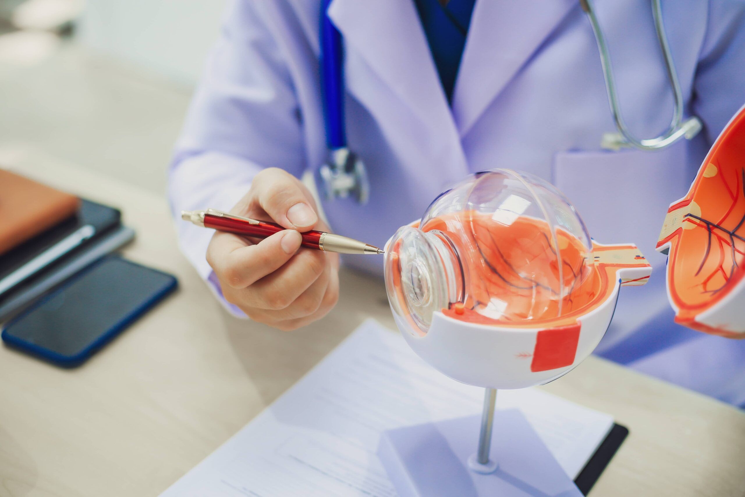 An ophthalmologist explains eye diseases using an eye model at an examination table in a hospital examination room.