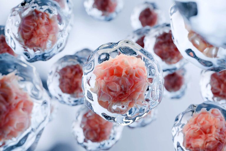 Human cells floating, Embryonic stem cell, Cellular therapy and Regeneration, Disease treatment