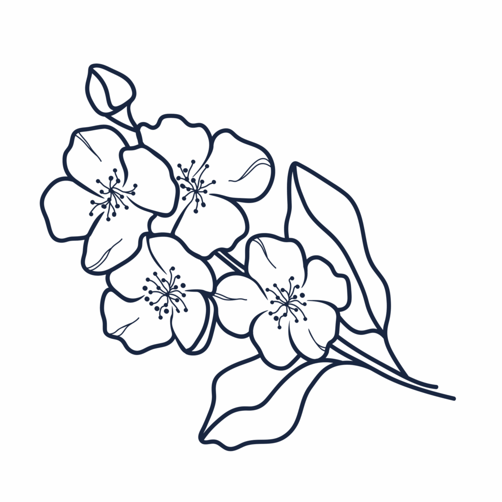 a black and white hand-drawn illustration of jasmine flowers and leaves