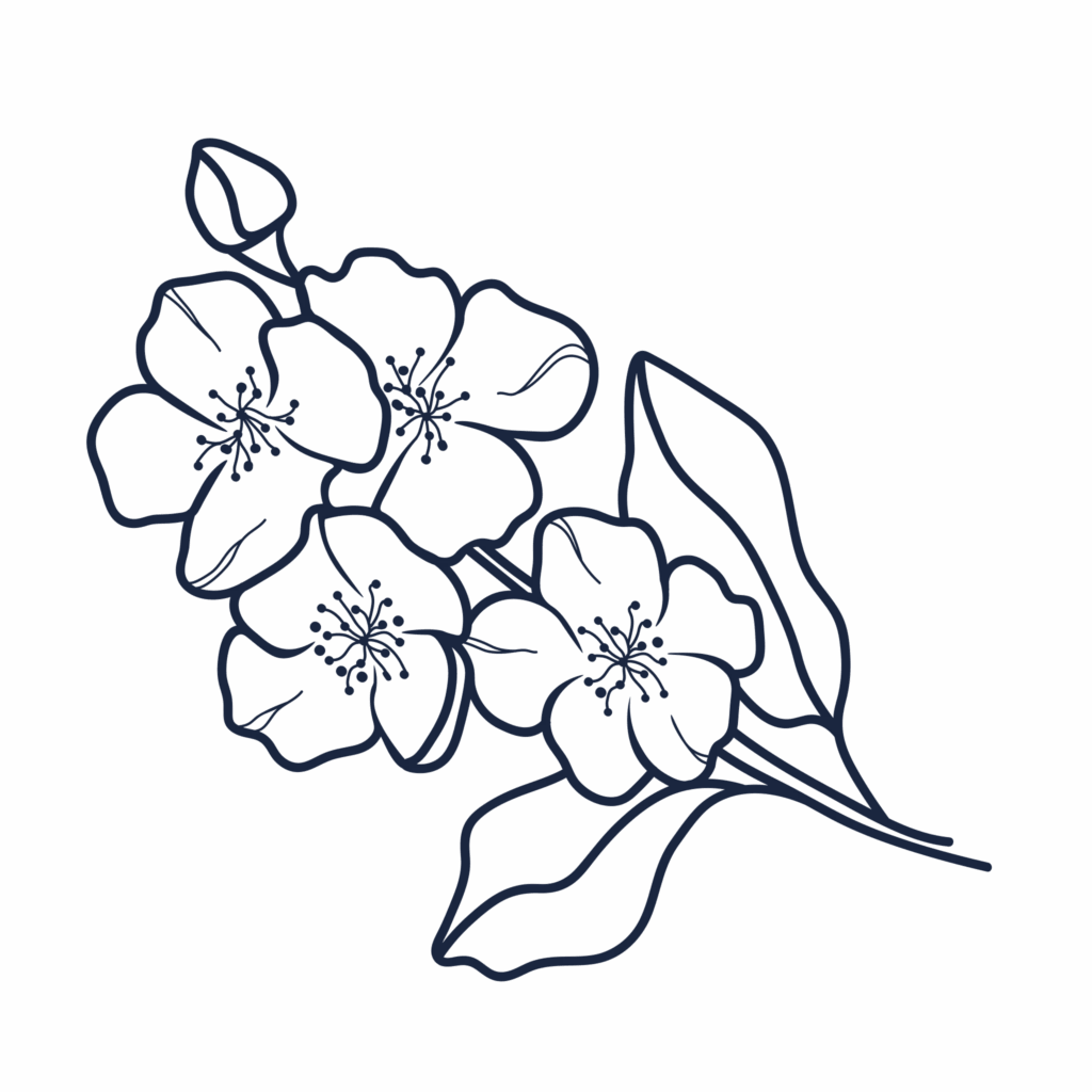 a black and white hand-drawn illustration of jasmine flowers and leaves