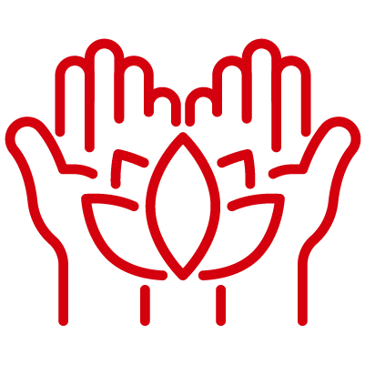 holistic approach icon