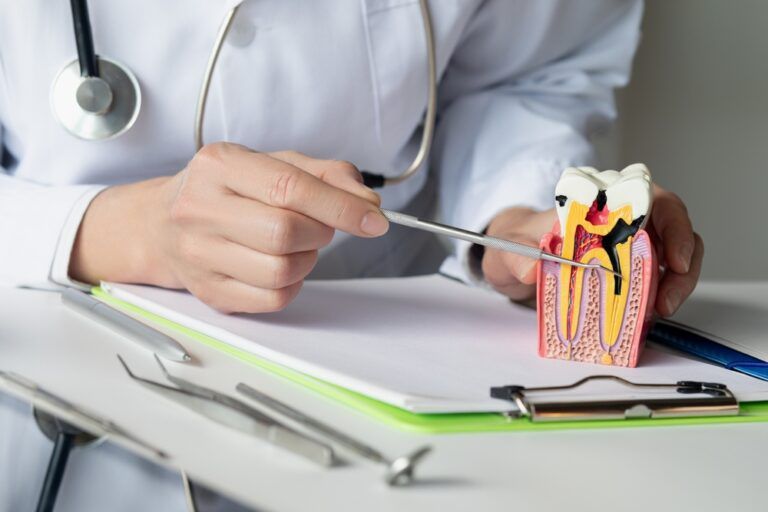The dentist shows the disease and the formation of the tooth pulp