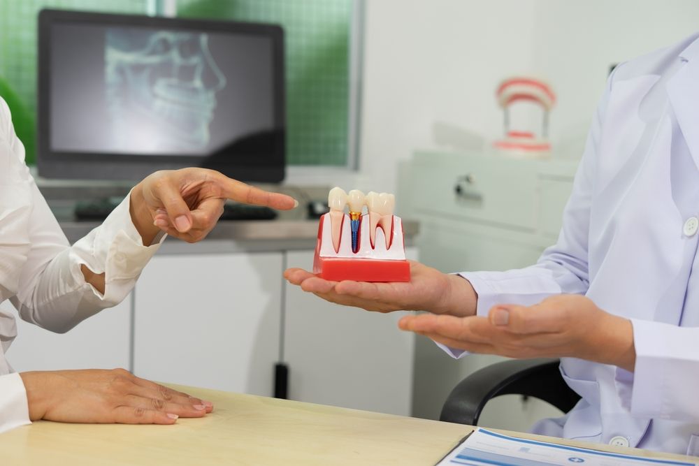Dentist explains dental implants using model in clinic