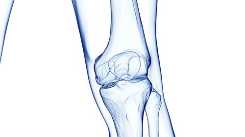 3d,Rendered,Medical,Illustration,Of,Male,Anatomy,-,Knee,Joint