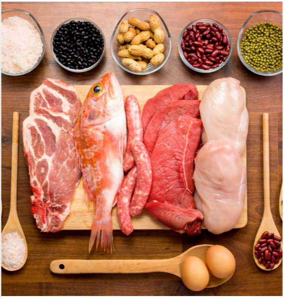 Different types of healthy uncooked proteins