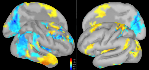 Brain Mapping with HALO