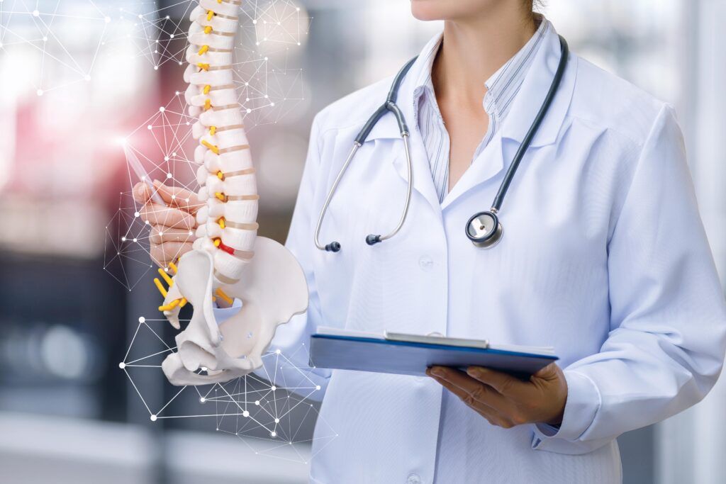 A medical worker shows the spine