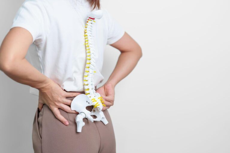 woman with human Spine anatomy model. Spinal Cord Disorder and disease, Back pain, Lumbar, Sacral pelvis, Cervical neck, Thoracic, Coccyx, Orthopedist, chiropractic,