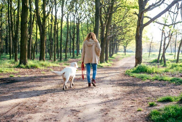 girl walking dog in park